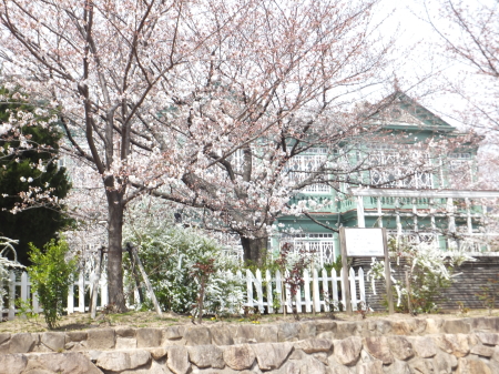 「王子動物園」の旧ハンター邸と桜