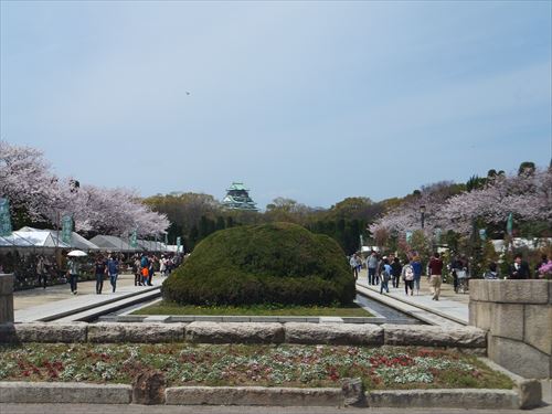 桜満開、大阪城のお花見スポット