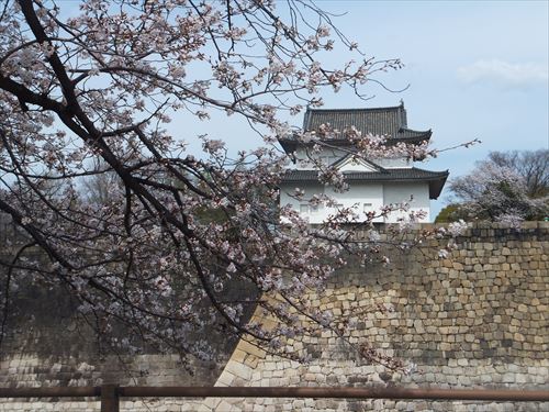 桜満開、大阪城のお花見スポット