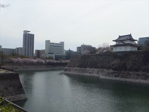 桜満開、大阪城のお花見スポット