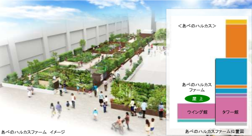 あべのハルカスウイング館屋上