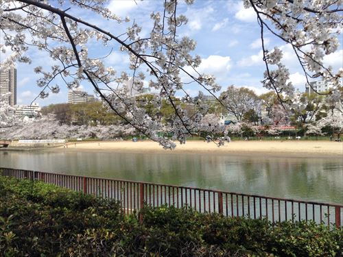 大阪ふれあいの水辺（毛馬桜ノ宮公園）