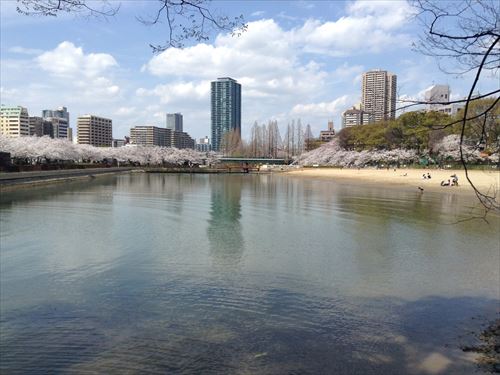 大阪ふれあいの水辺（毛馬桜ノ宮公園）