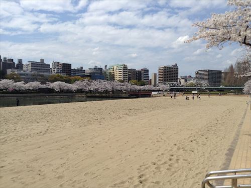 大阪ふれあいの水辺（毛馬桜ノ宮公園）