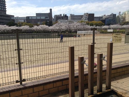 大阪ふれあいの水辺（毛馬桜ノ宮公園）