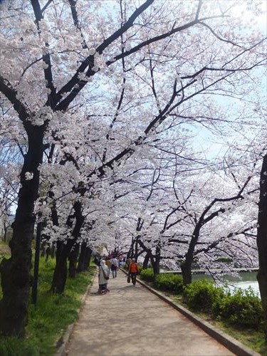 毛馬桜ノ宮公園