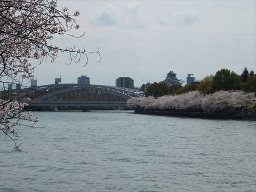 毛馬桜ノ宮公園