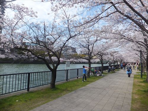 毛馬桜ノ宮公園