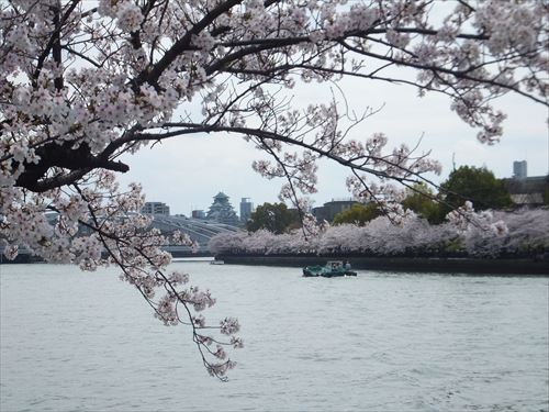 毛馬桜ノ宮公園