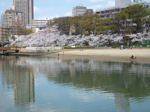 毛馬桜ノ宮公園