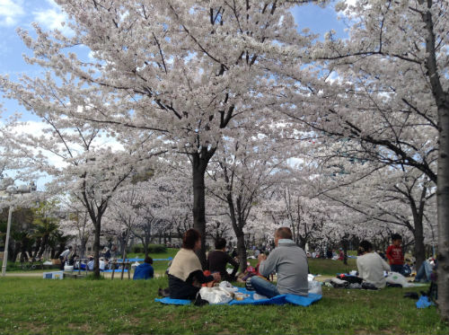 桜ノ宮公園