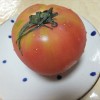 大地を守る会・トマト