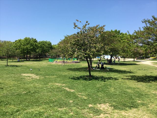 「八幡屋公園」芝生広場