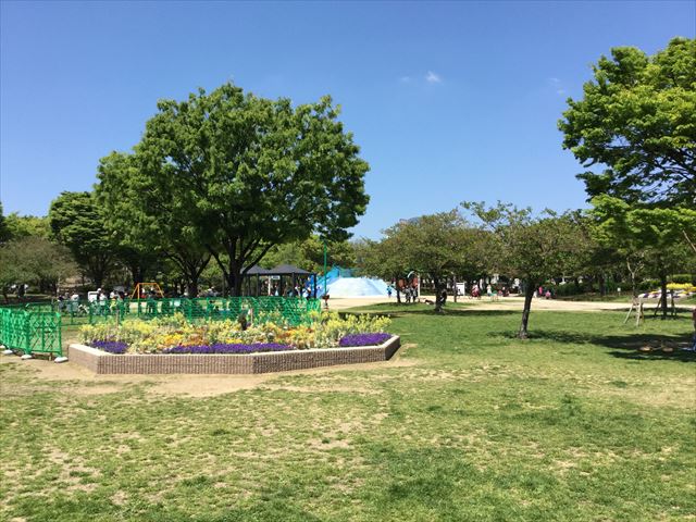 大阪「八幡屋公園」の芝生広場