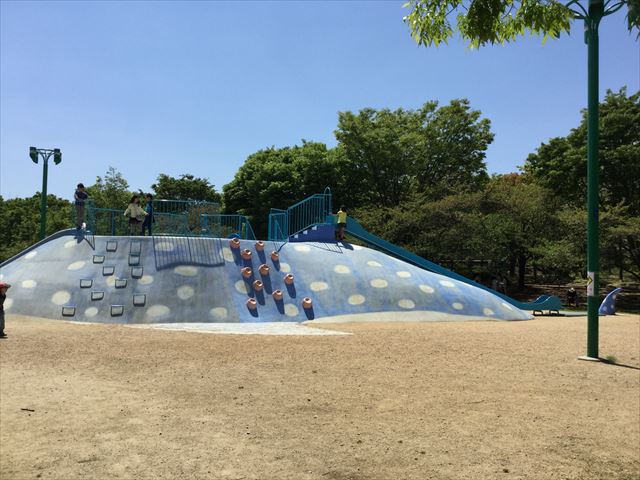 大阪「八幡屋公園」ジンベイザメ遊具、クライミング＆ふじつぼ登り、横全体を撮影