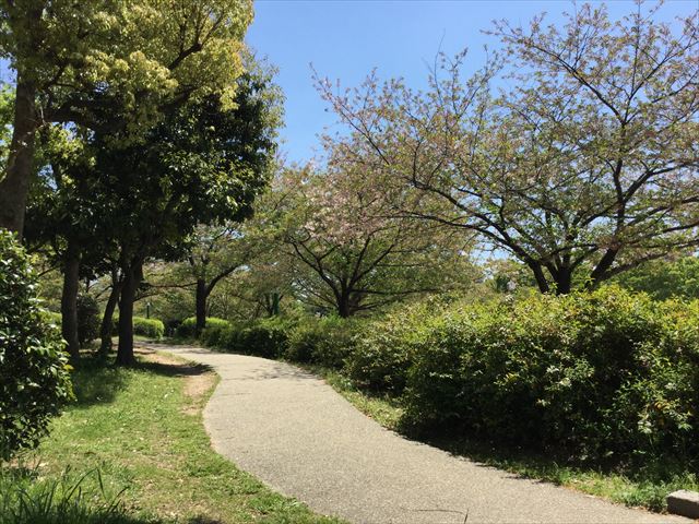 「八幡屋公園」ウォーキングコース