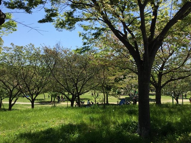 「八幡屋公園」芝生広場で休憩