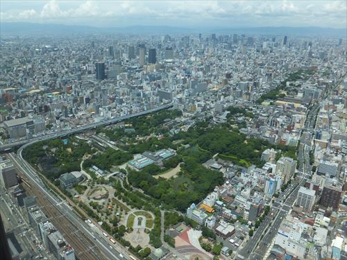 ハルカス300からの眺め・大阪市立動物園、大阪市立美術館、茶臼山