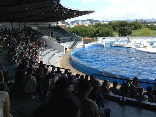 京都水族館・イルカショー（屋根付きイルカスタジアム）