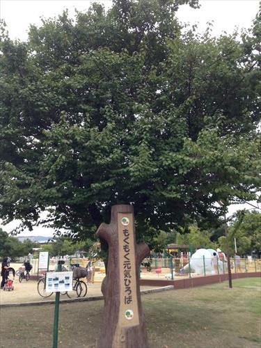 久宝寺緑地・もくもく元気広場