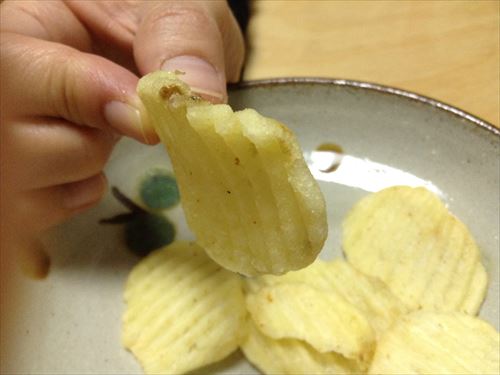 グランカルビー・しお味を手に持った様子