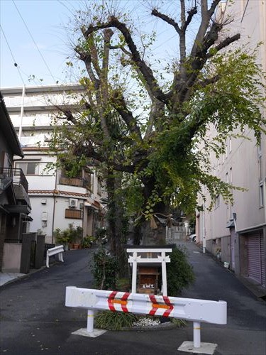 tamatsukuri-inari026