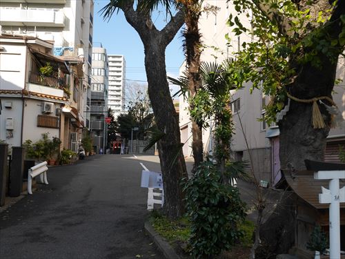 玉造稲荷神社と白光大神