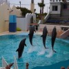 イルカライブ館・須磨海浜水族園