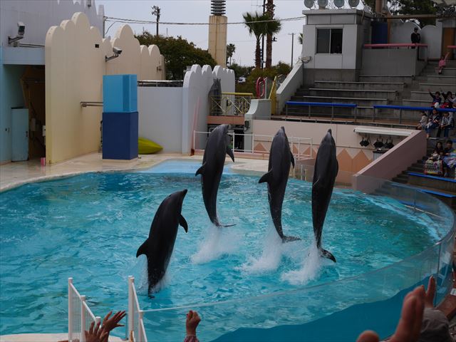 イルカライブ館・須磨海浜水族園