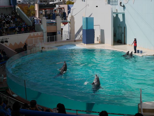 イルカライブ館・須磨海浜水族園