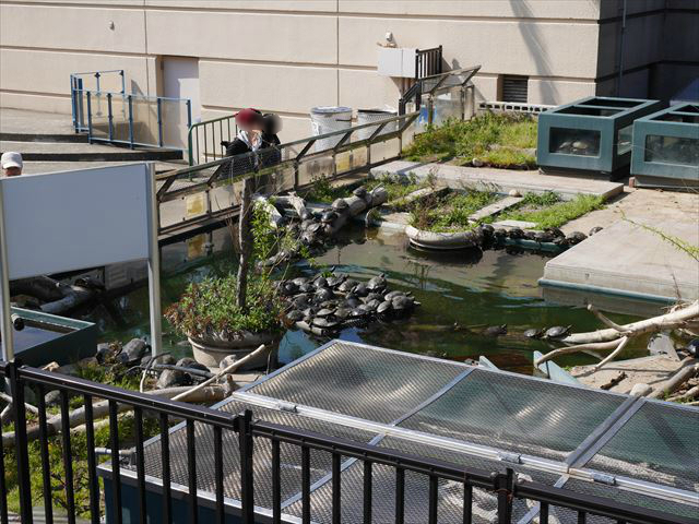 亀楽園・須磨海浜水族園