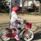 子供が自転車に乗れるようになった
