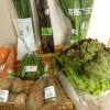 有機野菜宅配「ビオマルシェ」の野菜