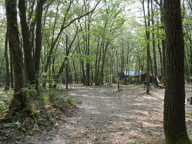 奥琵琶湖キャンプ場