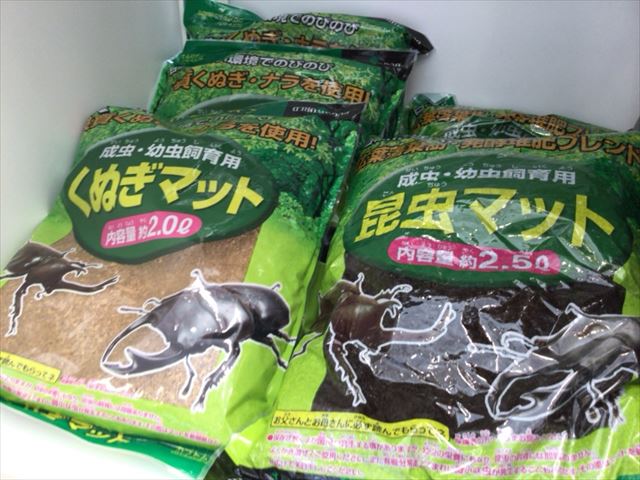 100均セリアの夏関連グッズ・昆虫飼育ケース