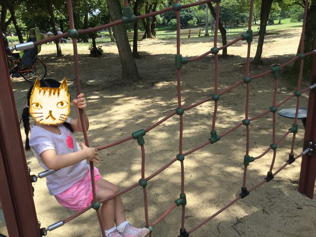 「児童の森」大仙緑地公園の遊具5アスレチック型（幼児後半~小学生向け）