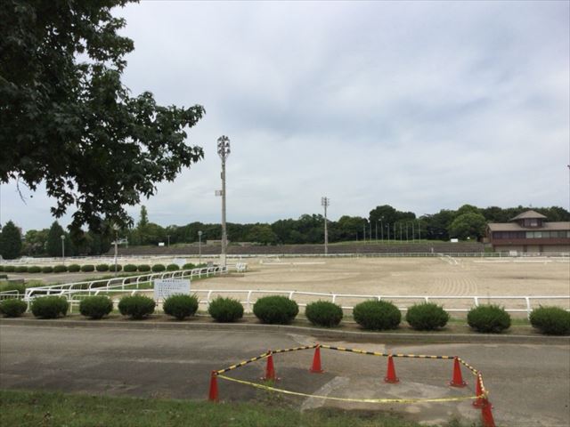 乗馬苑・鶴見緑地公園