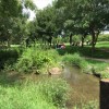 緑のせせらぎ周辺の様子。鶴見緑地公園