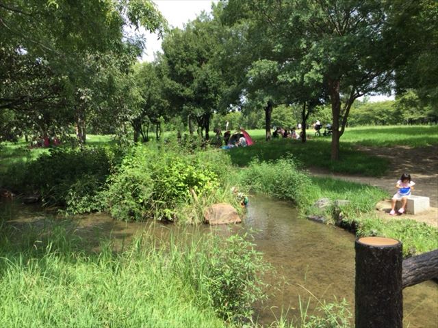 緑のせせらぎ周辺の様子。鶴見緑地公園