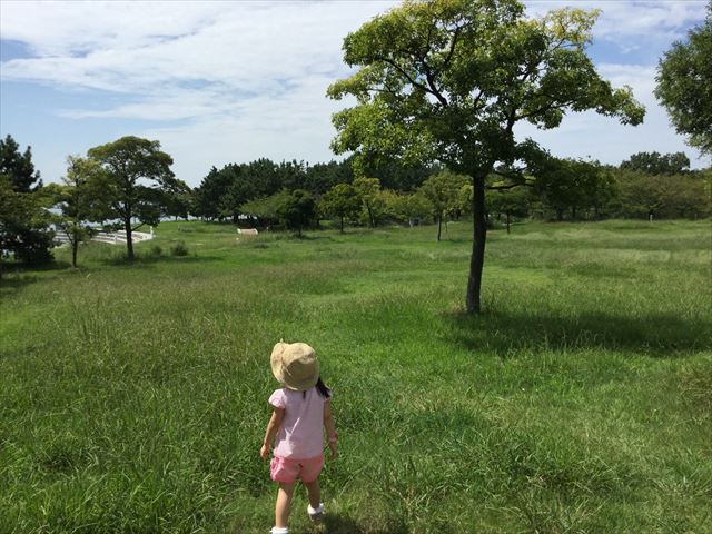 舞洲の芝生公園