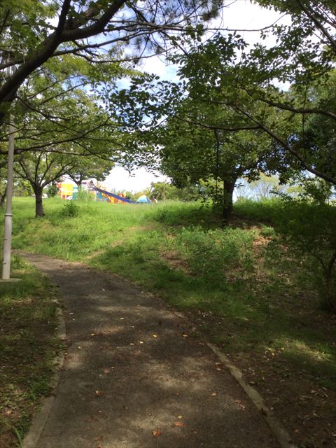 木陰から見た舞洲緑地公園