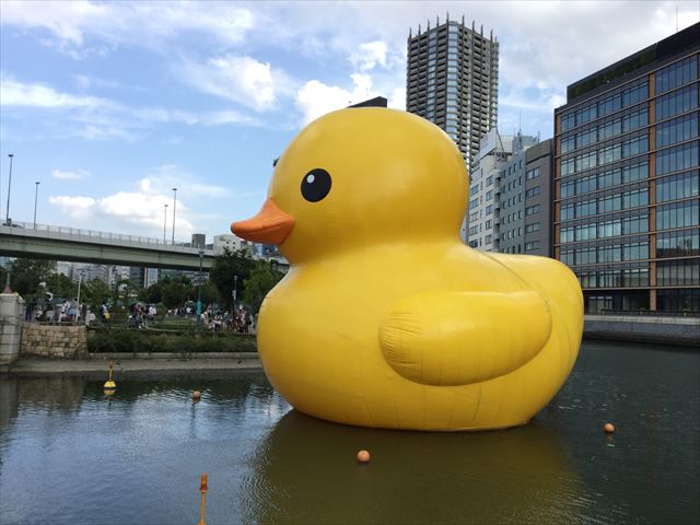 中之島公園・バラ園のラバーダックの様子