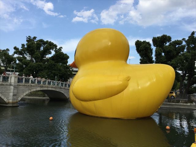 中之島公園・バラ園のラバーダックの様子