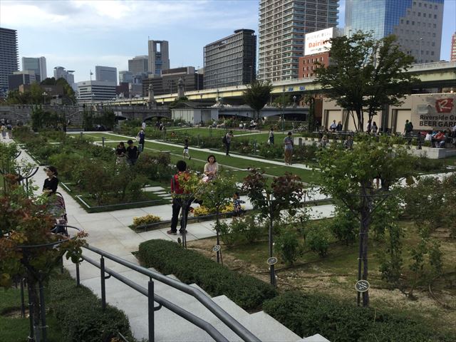 中之島公園・バラ園