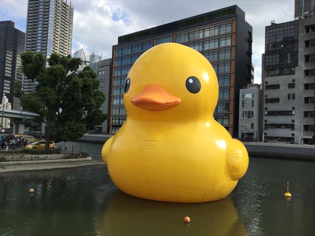 中之島公園・バラ園のラバーダックの様子