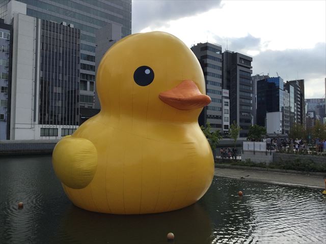 中之島公園・バラ園のラバーダックの様子