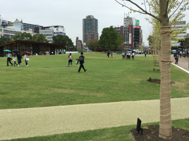 天王寺公園「てんしば」芝生公園