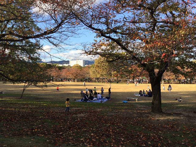 万博記念公園、子供の遊具公園「やったねの木」芝生公園