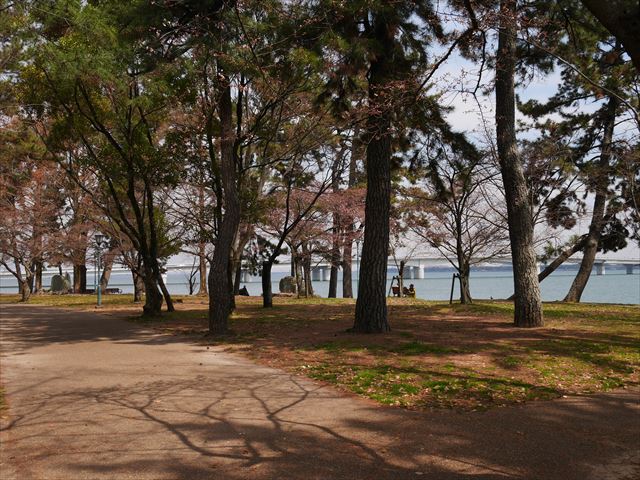 膳所城跡公園からの琵琶湖と桜