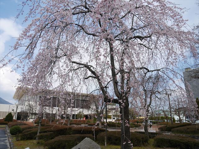 皇子が丘公園の体育館